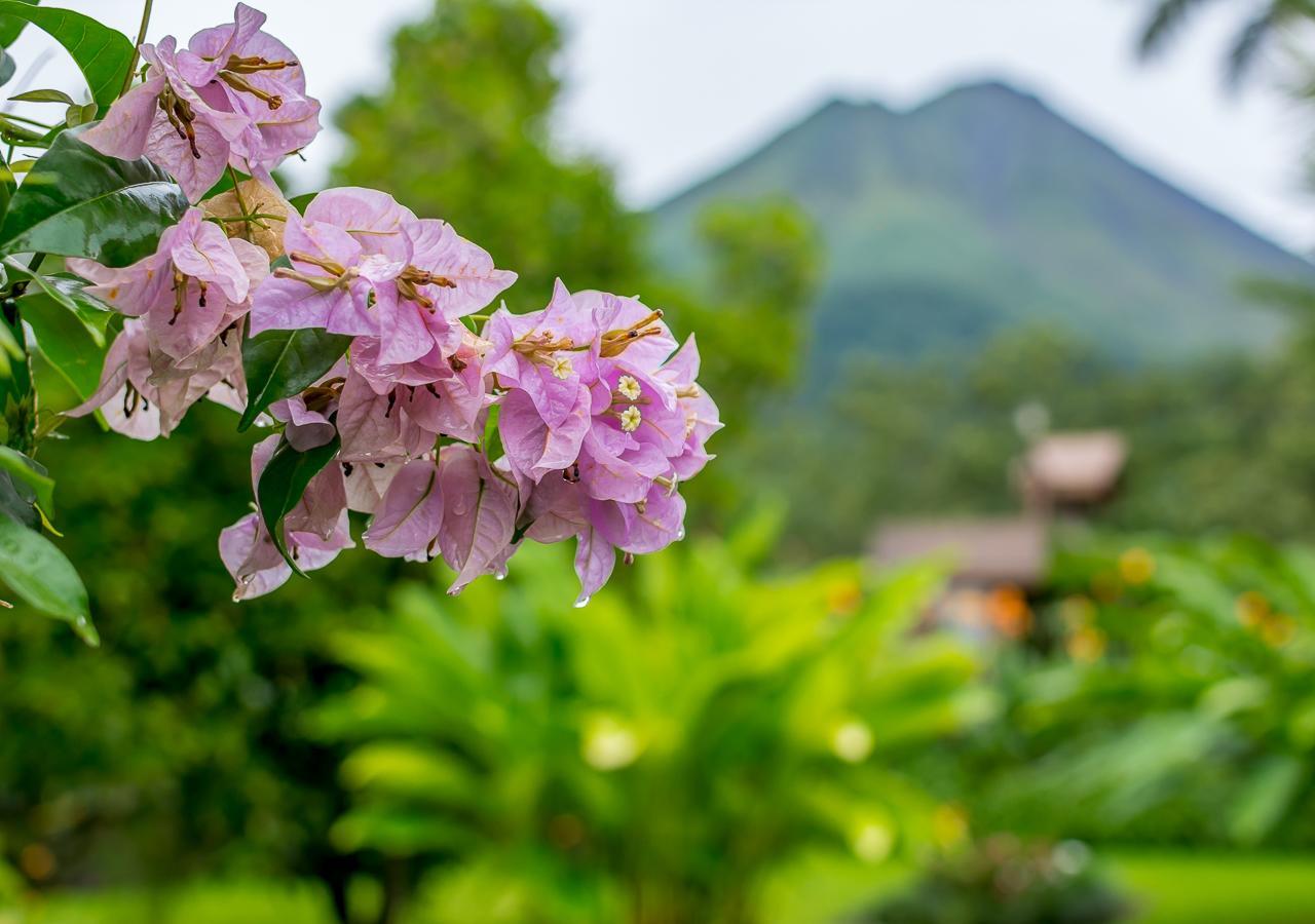 El Silencio Del Campo Hotel La Fortuna